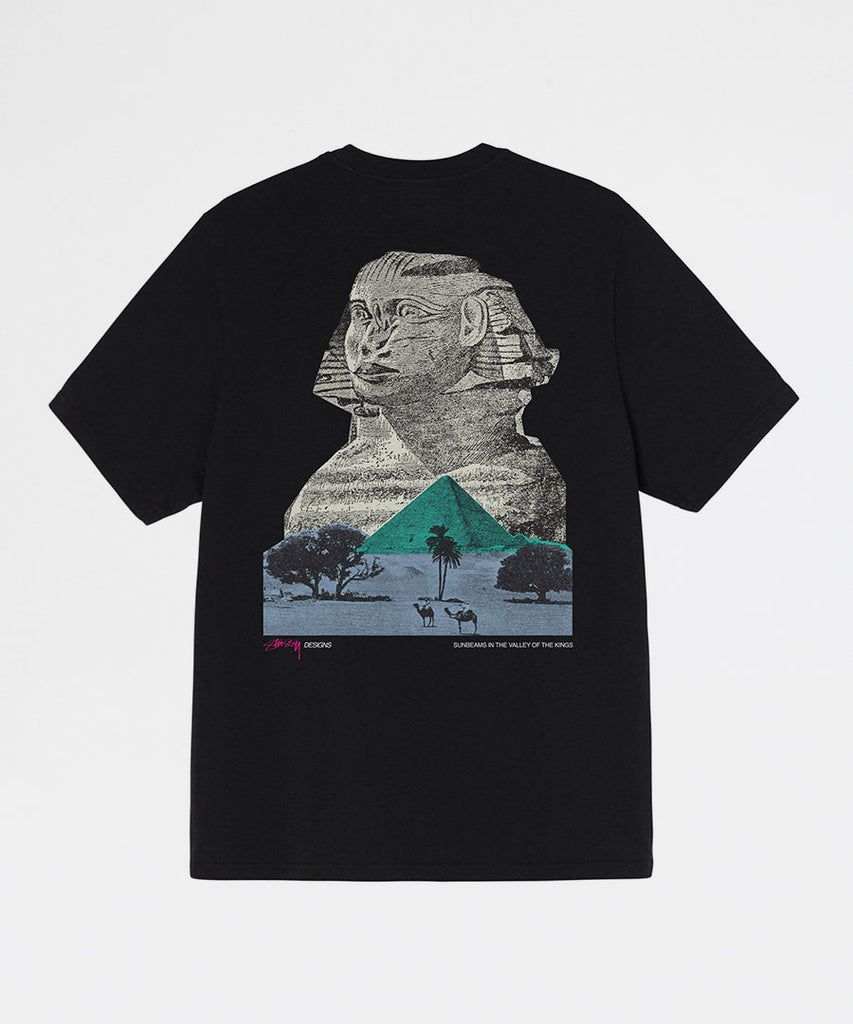 Sphinx Pig. Dyed Tee-Stussy-t-shirts